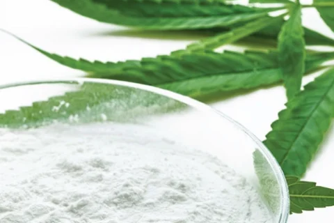 White cannabinoid isolate powder beside green cannabis leaves